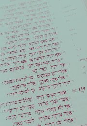 Hebrew Bible Mint Green