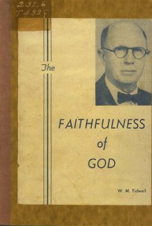 Image of book cover The Faithfulness of God