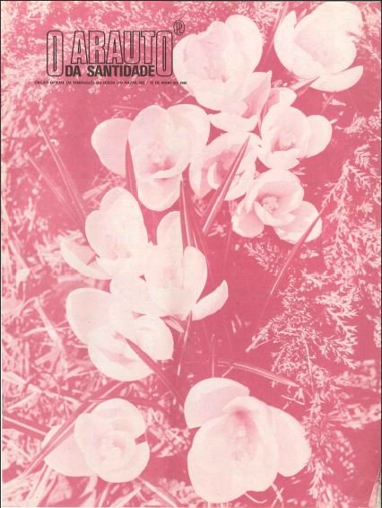 O ARAUTO DA SANTIDADE - 15 DE MAIO DE 1980